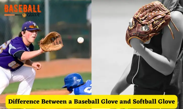 Difference Between a Baseball Glove and Softball Glove