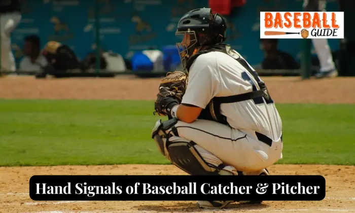 Catcher Signals: {Hand Signals of Baseball Catcher & Pitcher}