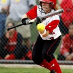 Best single wall softball bats