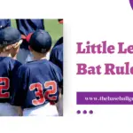 Little League Bat Rules