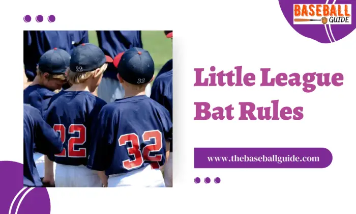 Little League Bat Rules