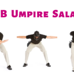 MLB Umpire Salary