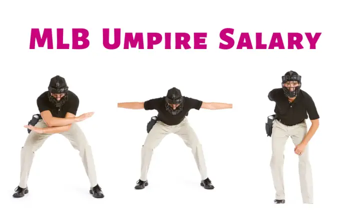 MLB Umpire Salary
