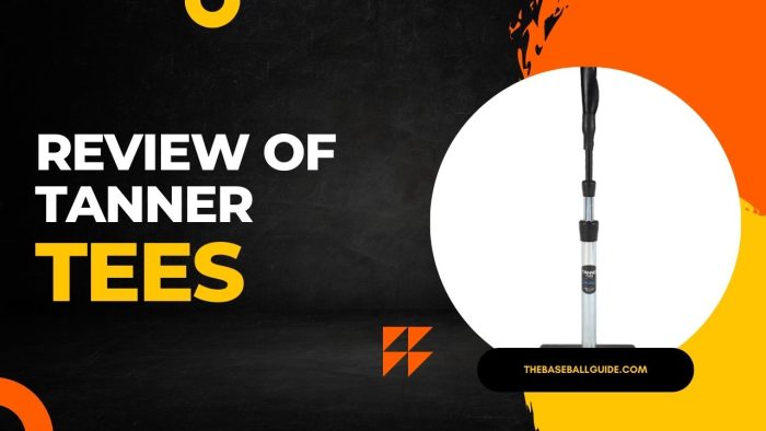 My Review of Tanner Tees